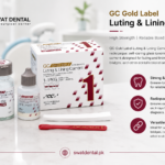 glass ionomer