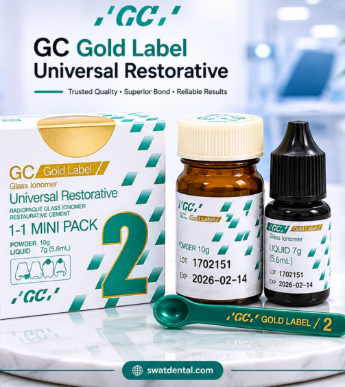 glass ionomer